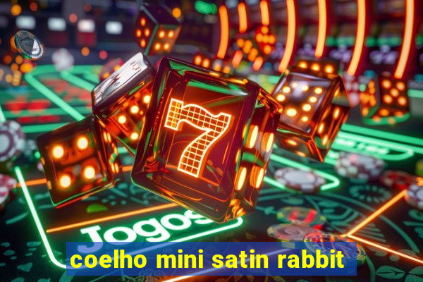 coelho mini satin rabbit